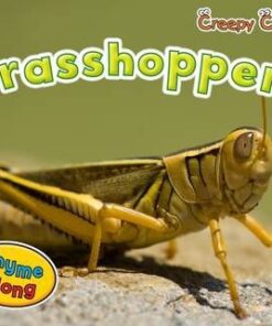 Grasshoppers - Sian Smith
