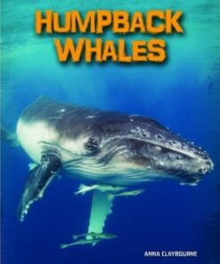 Humpback Whales - Anna Claybourne