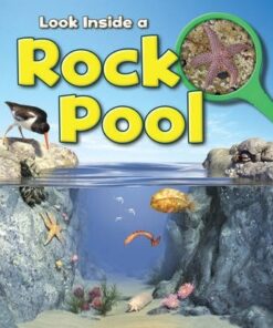 Rock Pool - Louise Spilsbury