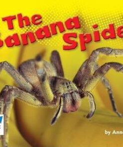 Level 10: Banana Spider - Anne Giulieri