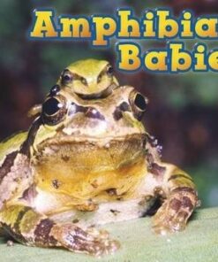 Amphibian Babies - Catherine Veitch