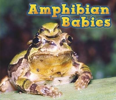 Amphibian Babies - Catherine Veitch