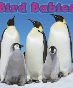 Bird Babies - Catherine Veitch