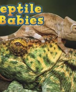 Reptile Babies - Catherine Veitch