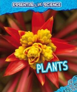 Plants - Melanie Waldron