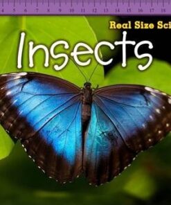 Insects - Rebecca Rissman