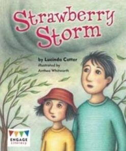 Level 21: Strawberry Storm - Lucinda Cotter