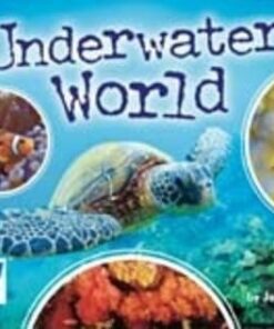 Level 18: Underwater World - Jaclyn Crupi