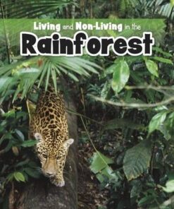 Living and Non-living in the Rainforest - Rebecca Rissman