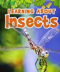 Learning About Insects - Catherine Veitch