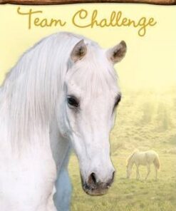 Team Challenge - Bernadette Kelly