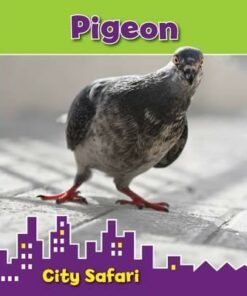 Pigeon: City Safari - Isabel Thomas