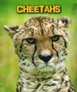 Cheetahs - Charlotte Guillain