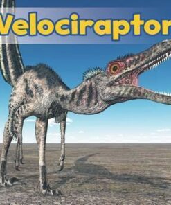 Velociraptor - Daniel Nunn