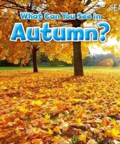 What Can You See In Autumn? - Sian Smith