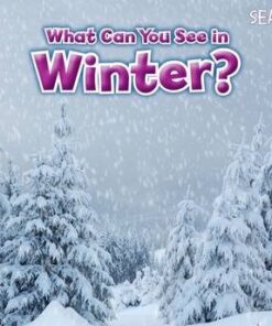 What Can You See In Winter? - Sian Smith