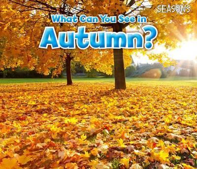What Can You See In Autumn? - Sian Smith