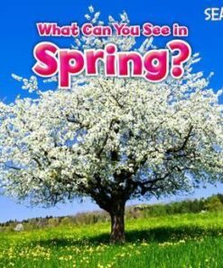 What Can You See In Spring? - Sian Smith