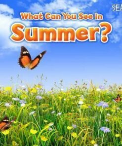 What Can You See In Summer? - Sian Smith