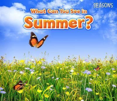 What Can You See In Summer? - Sian Smith