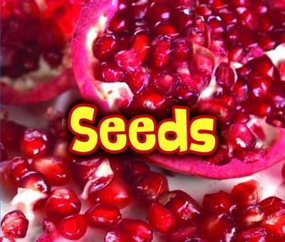 All About Seeds - Claire Throp
