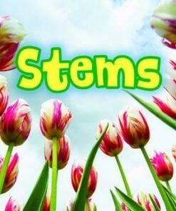 All About Stems - Claire Throp