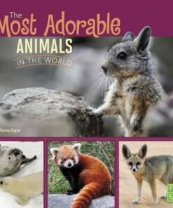The Most Adorable Animals in the World - Tammy Gagne