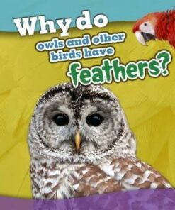 Why do owls and other birds have feathers? - Holly Beaumont