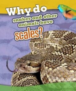 Why Do Snakes and Other Animals Have Scales? - Clare Lewis