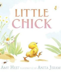 Little Chick - Amy Hest