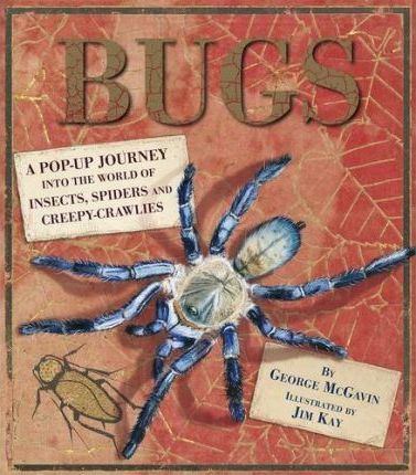 Bugs: A Pop-up Journey into the World of Insects
