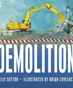 Demolition - Sally Sutton