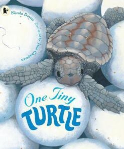 One Tiny Turtle - Nicola Davies
