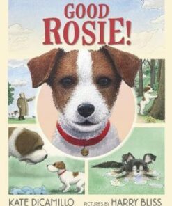 Good Rosie! - Kate DiCamillo