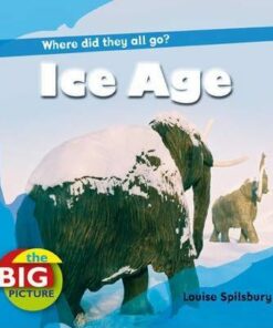 Ice Age - Louise Spilsbury