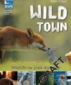 Wild Town - Mike Dilger