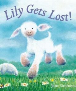 Lily Gets Lost - Jane Simmons