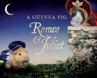 A Guinea Pig Romeo & Juliet - William Shakespeare