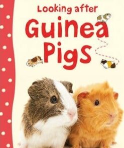 Looking After Guinea Pigs - Laura Howell