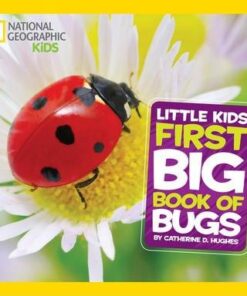 Little Kids First Big Book of Bugs (First Big Book) - Catherine D. Hughes