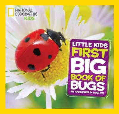 Little Kids First Big Book of Bugs (First Big Book) - Catherine D. Hughes