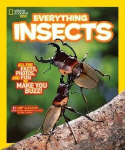 Everything Insects: All the Facts