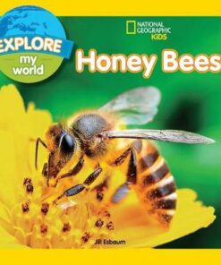Explore My World: Honey Bees (Explore My World ) - Jill Esbaum