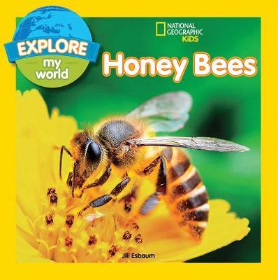 Explore My World: Honey Bees (Explore My World ) - Jill Esbaum