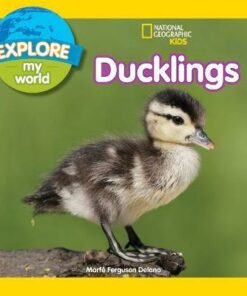 Explore My World: Ducklings (Explore My World ) - Marfe Ferguson Delano