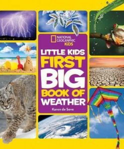 Little Kids First Big Book of Weather (First Big Book) - Karen de Seve