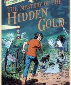 Adventure Island: The Mystery of the Hidden Gold: Book 3 - Helen Moss