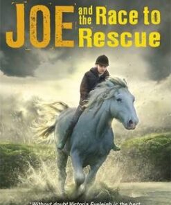 The Horseshoe Trilogy: Joe and the Race to Rescue: Book 3 - Victoria Eveleigh