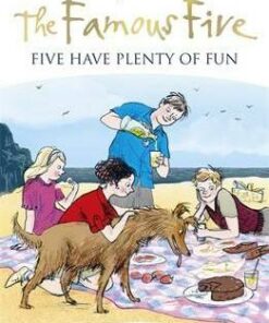 Five Have Plenty Of Fun: Book 14 - Enid Blyton