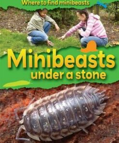 Where to Find Minibeasts: Minibeasts Under a Stone - Sarah Ridley